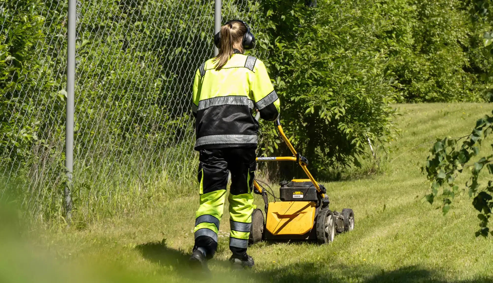 Nuori henkilö leikkaa nurmikkoa työnnettävällä ruohonleikkurilla. Henkilö on selin kameraan päin. Taustalla vihreä, rehevä luonto.